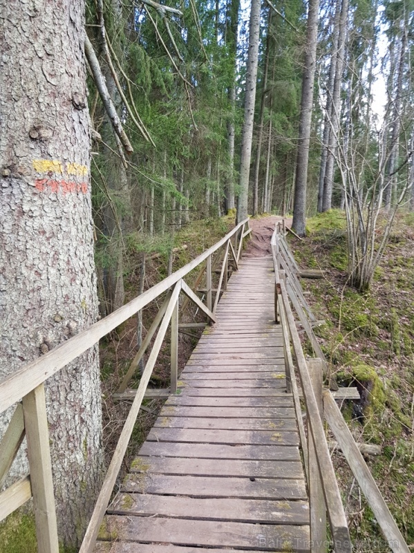 Viesatas upesloku dabas taka Tukuma pusē ir ārkārtīgi skaista un patiks garāku pastaigu cienītājiem Viesatas upesloku dabas taka Tukuma pusē ir ārkārtīgi skaista un patiks garāku pastaigu cienītājiem 281478
