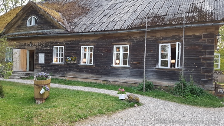 Ungurmuižā pavasarī valda romantiska noskaņa 281653