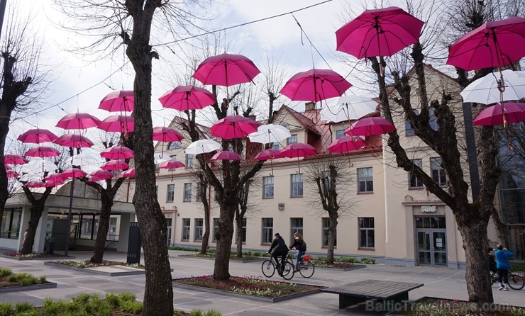 Šogad Brīvības ielu Ogrē rotā ne tikai valsts karogi, bet arī ar sarkaniem un baltiem lietussargiem izdekorēta liepu aleja Šogad Brīvības ielu Ogrē rotā ne tikai valsts karogi, bet arī ar sarkaniem un baltiem lietussargiem izdekorēta liepu aleja 281733