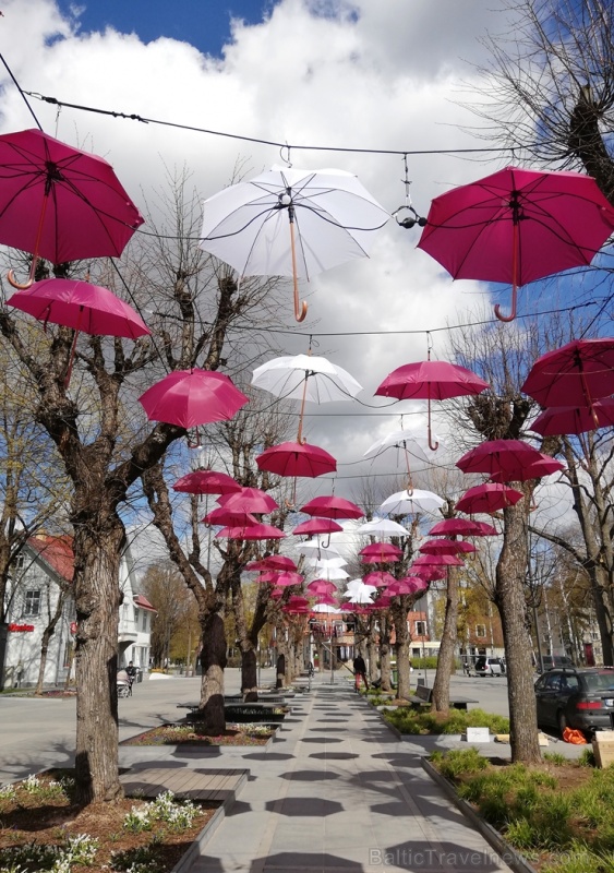 Šogad Brīvības ielu Ogrē rotā ne tikai valsts karogi, bet arī ar sarkaniem un baltiem lietussargiem izdekorēta liepu aleja Šogad Brīvības ielu Ogrē rotā ne tikai valsts karogi, bet arī ar sarkaniem un baltiem lietussargiem izdekorēta liepu aleja 281745