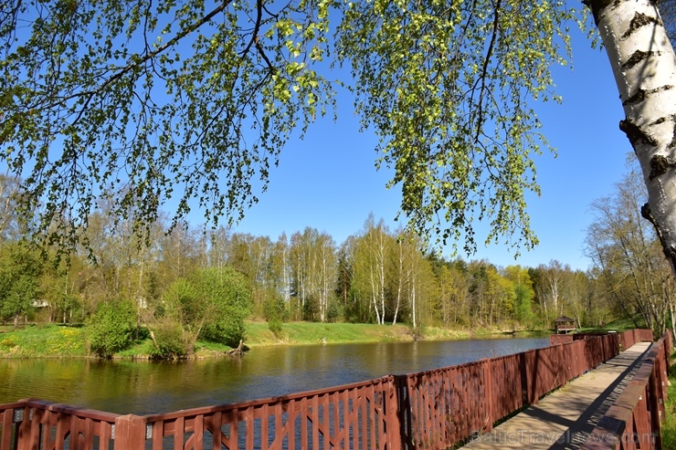 Valmierā Gaujas krastus izdaiļo saulainas pienenes un koku sulīgi zaļie pumpuri, bet parkos savas košās ziedgalviņas cēli ceļ tulpes un atraitnītes Valmierā Gaujas krastus izdaiļo saulainas pienenes un koku sulīgi zaļie pumpuri, bet parkos savas košās ziedgalviņas cēli ceļ tulpes un atraitnītes 282259