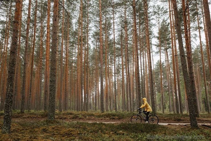 Valmieras TIC nomarķējis visu iemīļotā velo un kino festivāla Kinopedālis ainavisko 2019. gada Puspedāļa maršrutu Valmieras TIC nomarķējis visu iemīļotā velo un kino festivāla Kinopedālis ainavisko 2019. gada Puspedāļa maršrutu 282624