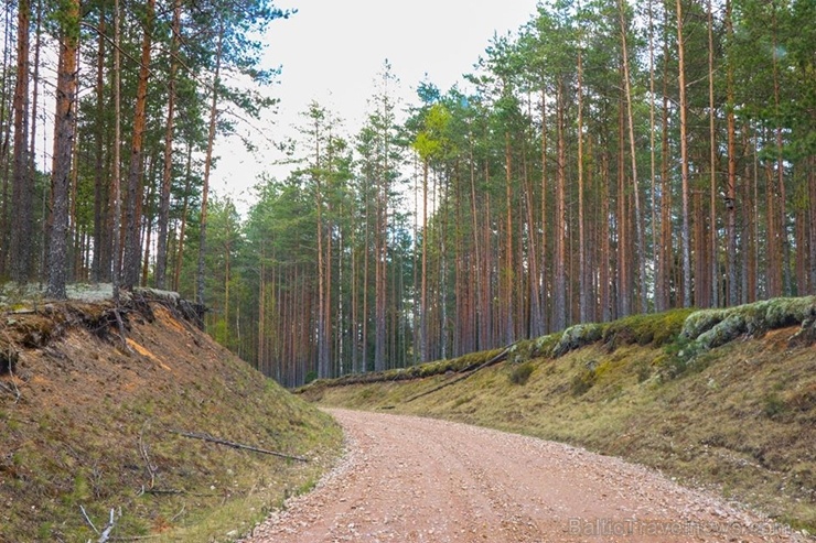 Maršruts Gulbenes pusē veido apli ar sākumu un finišu Lejasciemā, vedot caur dabas liegumu Maršruts Gulbenes pusē veido apli ar sākumu un finišu Lejasciemā, vedot caur dabas liegumu