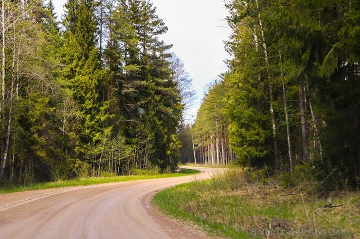 Maršruts Gulbenes pusē veido apli ar sākumu un finišu Lejasciemā, vedot caur dabas liegumu Maršruts Gulbenes pusē veido apli ar sākumu un finišu Lejasciemā, vedot caur dabas liegumu