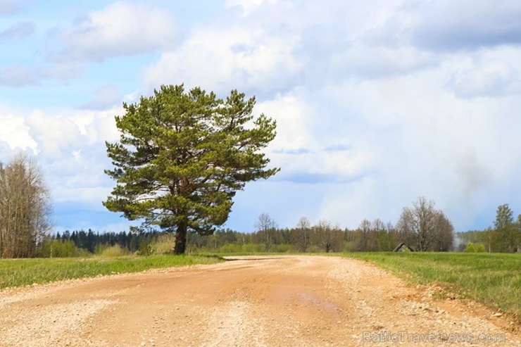 Maršruts Gulbenes pusē veido apli ar sākumu un finišu Lejasciemā, vedot caur dabas liegumu Maršruts Gulbenes pusē veido apli ar sākumu un finišu Lejasciemā, vedot caur dabas liegumu