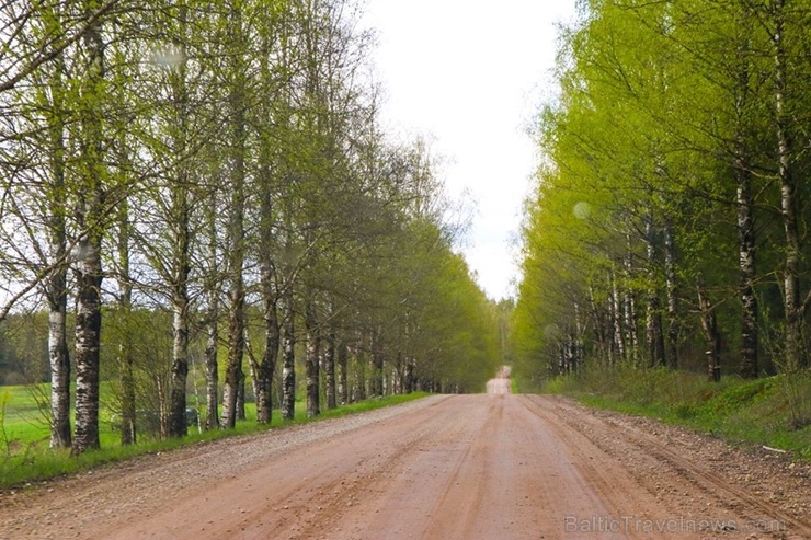 Maršruts Gulbenes pusē veido apli ar sākumu un finišu Lejasciemā, vedot caur dabas liegumu Maršruts Gulbenes pusē veido apli ar sākumu un finišu Lejasciemā, vedot caur dabas liegumu