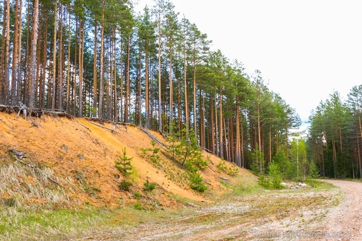 Maršruts Gulbenes pusē veido apli ar sākumu un finišu Lejasciemā, vedot caur dabas liegumu Maršruts Gulbenes pusē veido apli ar sākumu un finišu Lejasciemā, vedot caur dabas liegumu