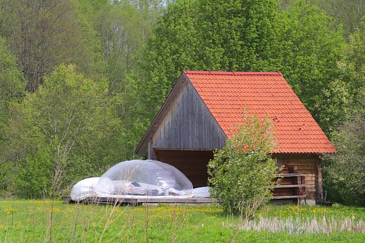Travelnews.lv apceļo Viļakas novadu - Vēršu kalns, Baltā Brieža mototrase, partizānu vietas, nošauto ebreju piemiņas vietu Travelnews.lv apceļo Viļakas novadu - Vēršu kalns, Baltā Brieža mototrase, partizānu vietas, nošauto ebreju piemiņas vietu 283096