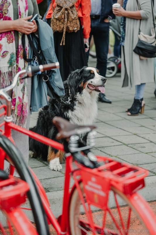 Siguldā atklāta Latvijā pirmā velo iela, kas darbojas kā pilotprojekts Siguldas kopējās satiksmes uzlabošanas koncepcijā Siguldā atklāta Latvijā pirmā velo iela, kas darbojas kā pilotprojekts Siguldas kopējās satiksmes uzlabošanas koncepcijā 283956