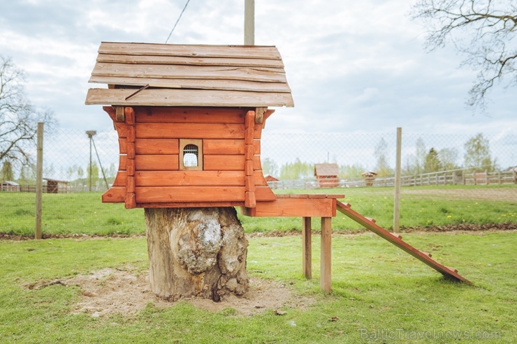 Balvu novadā ceļotājus priecē tūrisma objekts - Rančo «Ozolmājas» 284076