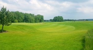 35