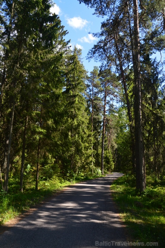Mazsalacas šarms un dabas skaistums apbur ceļotājus 284307