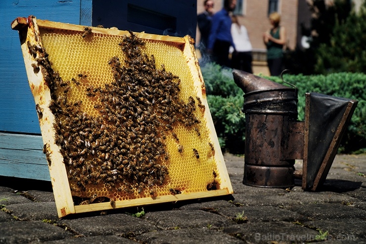 Veicinot zaļās domāšanas un ekoloģisko projektu attīstību pilsētā, uz Rīgas rātsnama 3. stāva āra terases izvietoti trīs bišu stropi Veicinot zaļās domāšanas un ekoloģisko projektu attīstību pilsētā, uz Rīgas rātsnama 3. stāva āra terases izvietoti trīs bišu stropi 284600