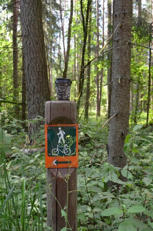Ceļotāji pārgājienā iepazīst vienu no Latvijas Sv. Jēkaba ceļa skaistākajiem posmiem Vidzemē - no Līgatnes uz Siguldu Ceļotāji pārgājienā iepazīst vienu no Latvijas Sv. Jēkaba ceļa skaistākajiem posmiem Vidzemē - no Līgatnes uz Siguldu 285639