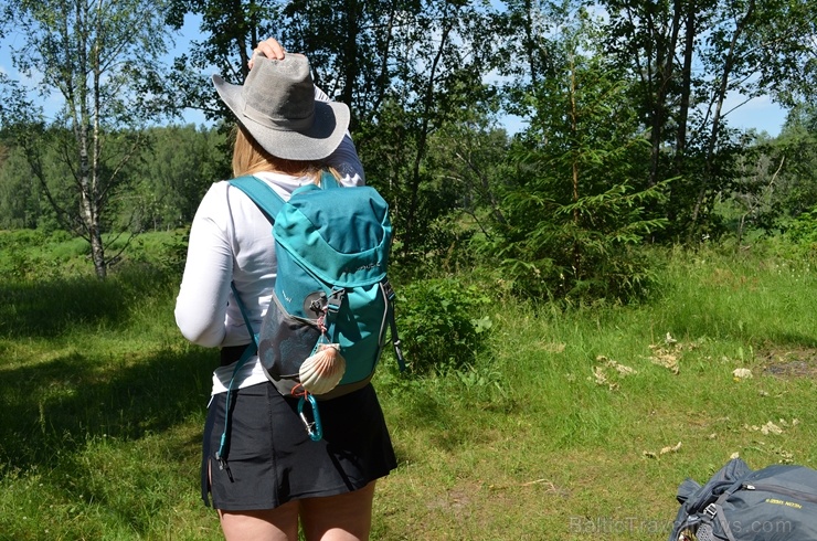 Ceļotāji pārgājienā iepazīst vienu no Latvijas Sv. Jēkaba ceļa skaistākajiem posmiem Vidzemē - no Līgatnes uz Siguldu Ceļotāji pārgājienā iepazīst vienu no Latvijas Sv. Jēkaba ceļa skaistākajiem posmiem Vidzemē - no Līgatnes uz Siguldu 285644