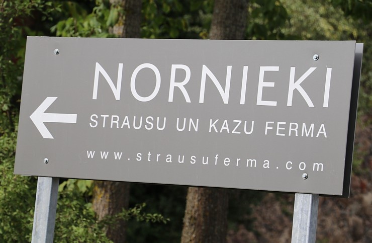 Travelnews.lv iepazīst, nogaršo un izbauda strausu un kazu fermas «Nornieki» viesmīlību Kuldīgas novadā Travelnews.lv iepazīst, nogaršo un izbauda strausu un kazu fermas «Nornieki» viesmīlību Kuldīgas novadā 289484