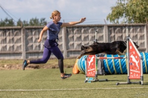 Suņu sporta - adžiliti sacensības «Rīgas Kauss 2020» pulcē dalībniekus no Baltijas valstīm