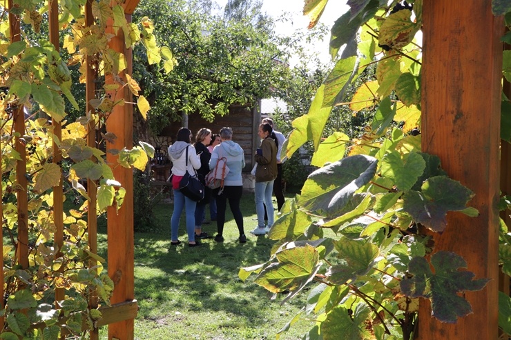 Salaspils novads iepazīstina ar kempingu «Doles sala», krodziņu «Nēģis» un mājas vīna darītavu «Saules veltes» Salaspils novads iepazīstina ar kempingu «Doles sala», krodziņu «Nēģis» un mājas vīna darītavu «Saules veltes» 291189