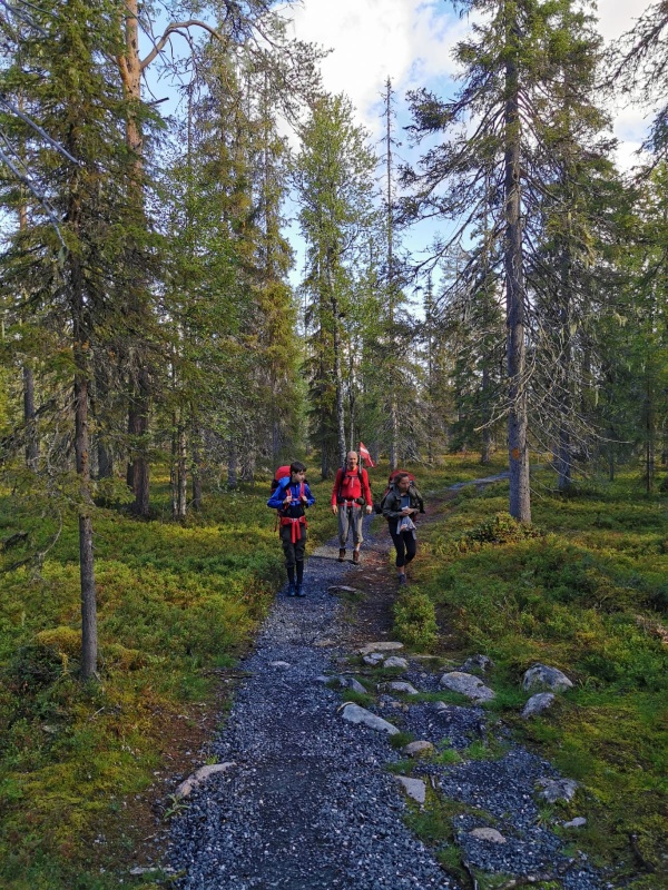 Takas brīžiem klātas granīta šķembām, bet biežāk tās izvītas koku saknēm un akmens muguru mozaīku Takas brīžiem klātas granīta šķembām, bet biežāk tās izvītas koku saknēm un akmens muguru mozaīku 291223