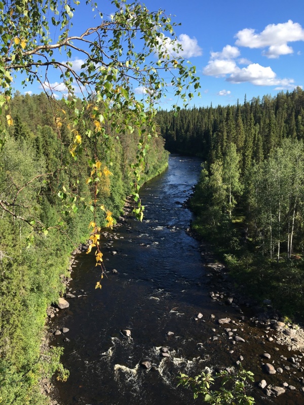 Kopā ar @suuntopulksteni.lv un @kidshike Travelnews.lv pieveic 102km populārākajā Somijas garo pārgājienu takā - Karhunkierros Kopā ar @suuntopulksteni.lv un @kidshike Travelnews.lv pieveic 102km populārākajā Somijas garo pārgājienu takā - Karhunkierros 291228