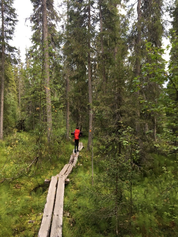 Kopā ar @suuntopulksteni.lv un @kidshike Travelnews.lv pieveic 102km populārākajā Somijas garo pārgājienu takā - Karhunkierros Kopā ar @suuntopulksteni.lv un @kidshike Travelnews.lv pieveic 102km populārākajā Somijas garo pārgājienu takā - Karhunkierros 291248