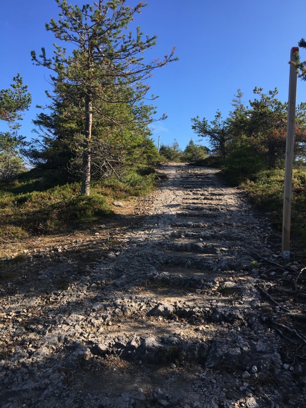 Kopā ar @suuntopulksteni.lv un @kidshike Travelnews.lv pieveic 102km populārākajā Somijas garo pārgājienu takā - Karhunkierros Kopā ar @suuntopulksteni.lv un @kidshike Travelnews.lv pieveic 102km populārākajā Somijas garo pārgājienu takā - Karhunkierros 291270