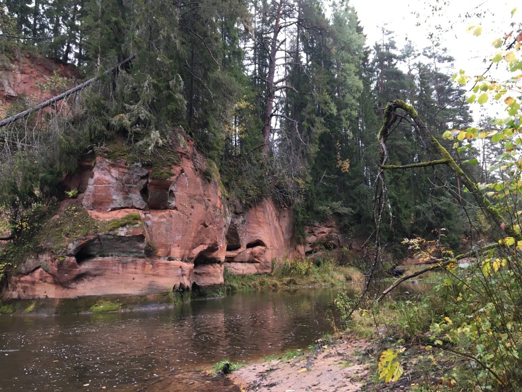 Mežtakas kopējā maršruta garums ir ~1060 km (~ 1,3 milj. soļu), no tiek Latvijā – 335 km. Lielāka maršruta daļa Latvijā (60%) ved pa meža ceļiem un t Mežtakas kopējā maršruta garums ir ~1060 km (~ 1,3 milj. soļu), no tiek Latvijā – 335 km. Lielāka maršruta daļa Latvijā (60%) ved pa meža ceļiem un t 293219