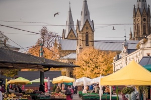 Vēju pilsēta Liepāja ietērpjas rudens krāsās