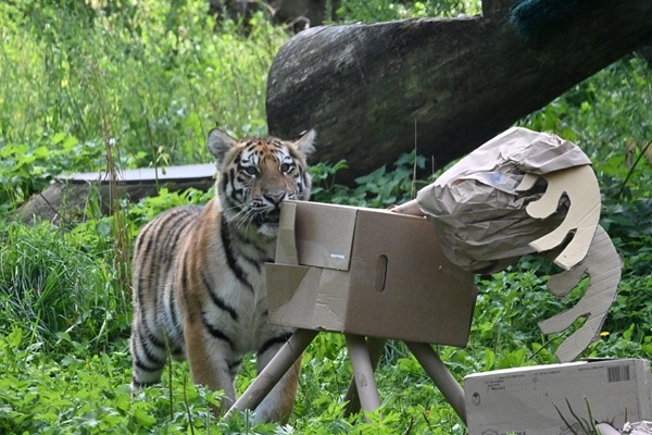 «Dzīvnieku dienas» Rīga ZOO 11. un 12. oktobrī