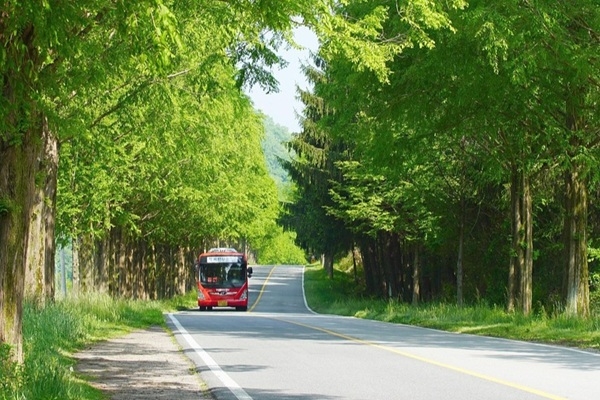 Igaunijas autobusu pārvadātāji neapmierināti par stingrākām prasībām valsts valodas zināšanās