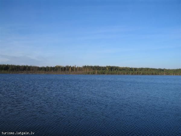 Lubana-mitraine Lubāna mitraine
