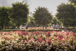 Atpūtas un ceļojumu piedāvājumi 23.06.2025 - 30.06.2025 Tiksimies Rožu laukumā! Liepājas reģiona TIB
