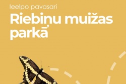 Ieelpo pavasari Riebiņu muižas parkā Preiļu novada TIC