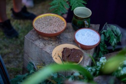 Vasaras saulgrieži Valmieras novadā Valmieras novada Tūrisma pārvalde