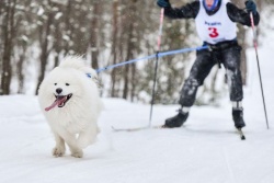 Negaidījāt? Estravel Latvia