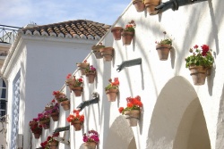 Malaga. Agrā izpārdošana
