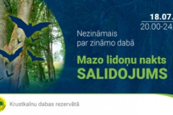 Mazo lidoņu nakts salidojums.